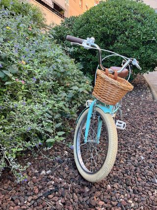 Bicicleta Retro 20 Mint