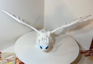 Furia Chiara Drago Trainer