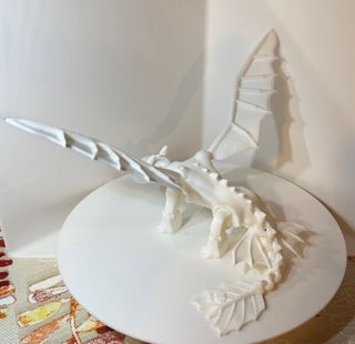 Furia Chiara Drago Trainer