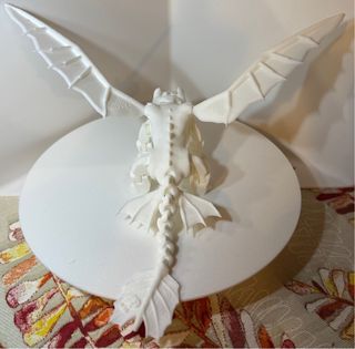 Furia Chiara Drago Trainer