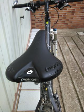 Orbea Alma Carbono