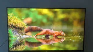 SMART TV ANDROID SONY 49"