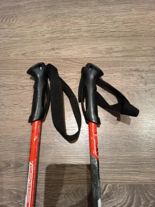 Bastones de esquí para niños