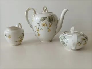 Set di porcellana floreale senza tempo