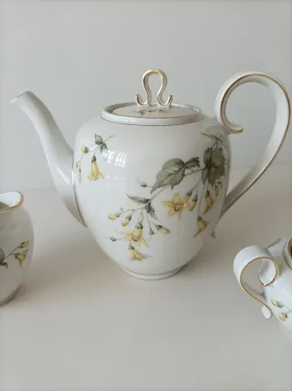 Set di porcellana floreale senza tempo