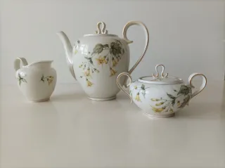 Set di porcellana floreale senza tempo