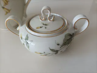 Set di porcellana floreale senza tempo