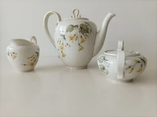 Set di porcellana floreale senza tempo