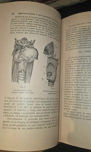 1910, Medicina Deformaciones - Libro antiguo