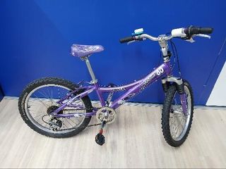 Trek violeta 20'