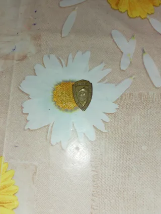 Spilla in ottone forma di scudo