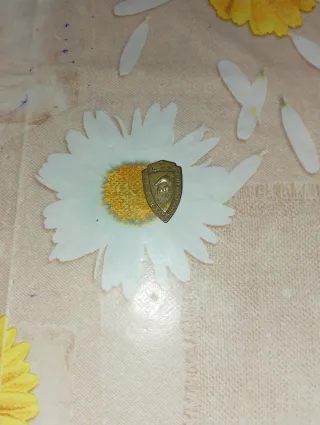 Spilla in ottone forma di scudo