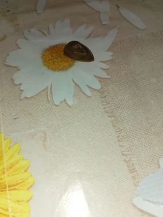 Spilla in ottone forma di scudo