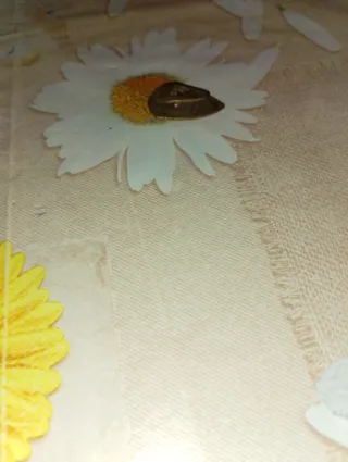 Spilla in ottone forma di scudo