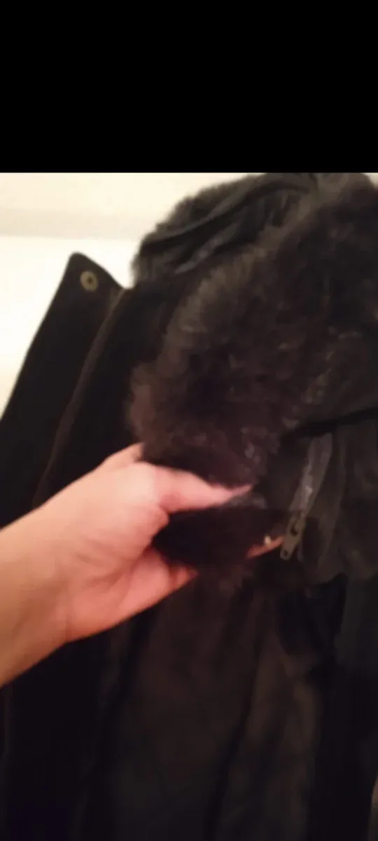 CHAQUETÓN PIEL CON REGALO