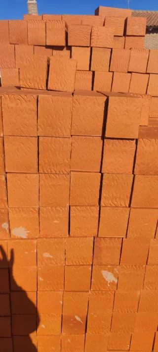 Ladrillos toscos lo vendemos por palet o unidades