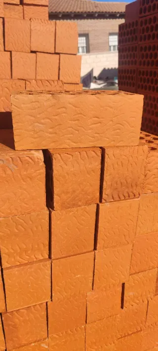Ladrillos toscos lo vendemos por palet o unidades