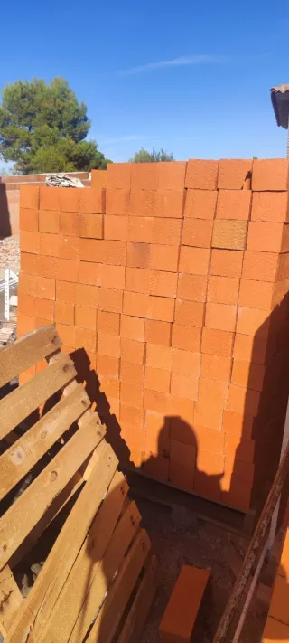 Ladrillos toscos lo vendemos por palet o unidades