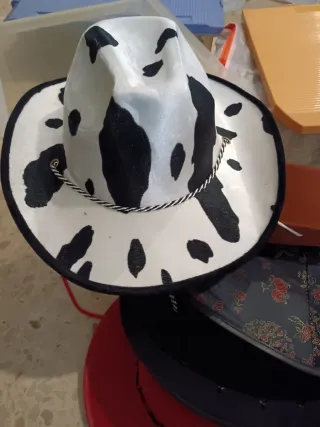 Lote 5 Sombreros Fiesta  disfraz