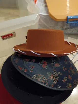 Lote 5 Sombreros Fiesta  disfraz