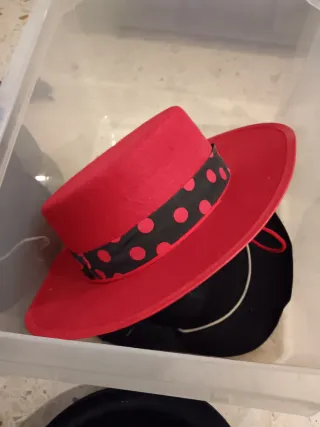 Lote 5 Sombreros Fiesta  disfraz