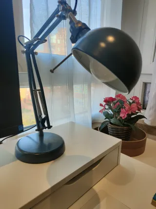 Monitor Philips + Conmutador HDMI + Flexo