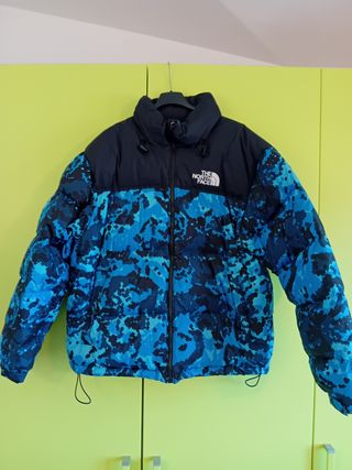 Giubbetto north face 700