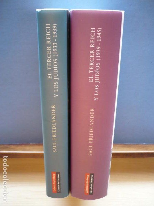 El Tercer Reich y los judíos