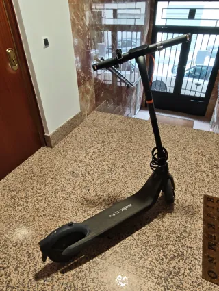 Patinete Eléctrico Ninebot E2 Pro