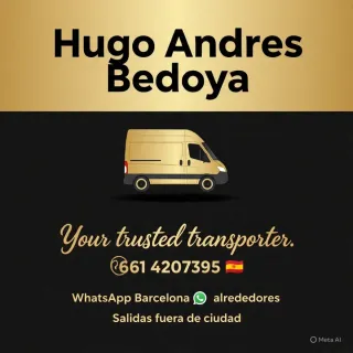 Montaje de muebles y trasportes