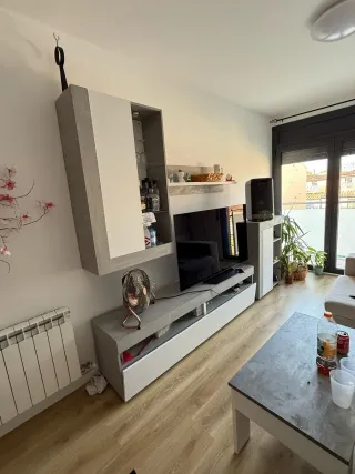 Montaje de muebles y trasportes