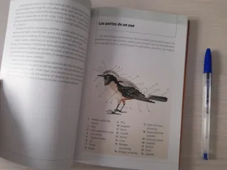 SOLO ENVÍO Libro Cómo iniciarse en la ornitología