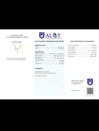 𝔑𝔲𝐅𝐟𝐢𝐥𝐀𝐫𝐭 Collar en plata de ley 925