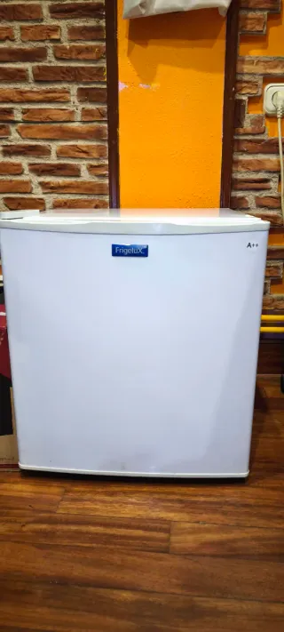 Mini frigorifero FrigeluX A++