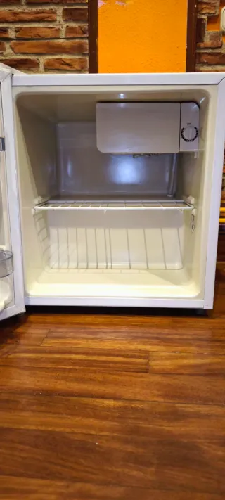 Mini frigorifero FrigeluX A++