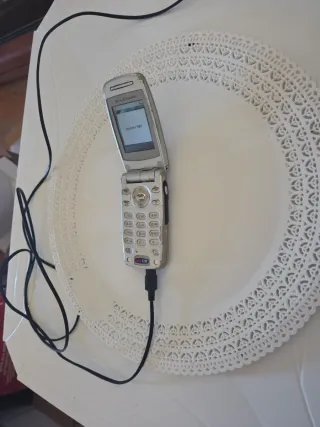 Cellulare vintage a sportello Argento e Bianco