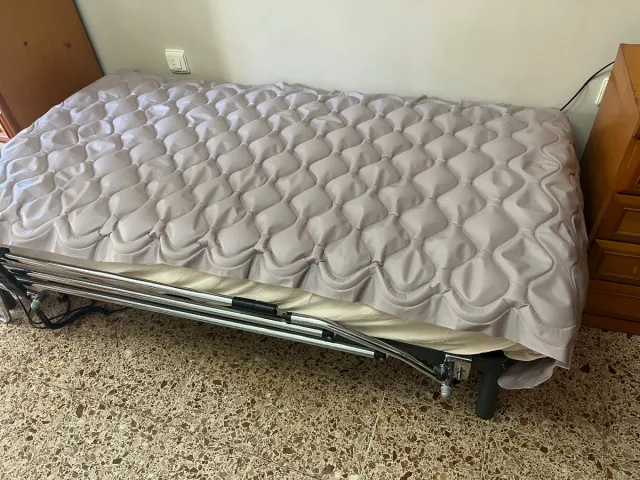 Cama articulada hospitalaria