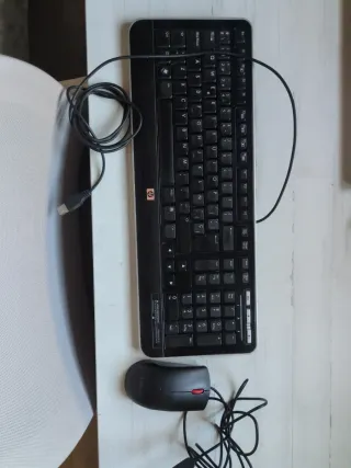 Teclado HP y Ratón Lenovo Negro