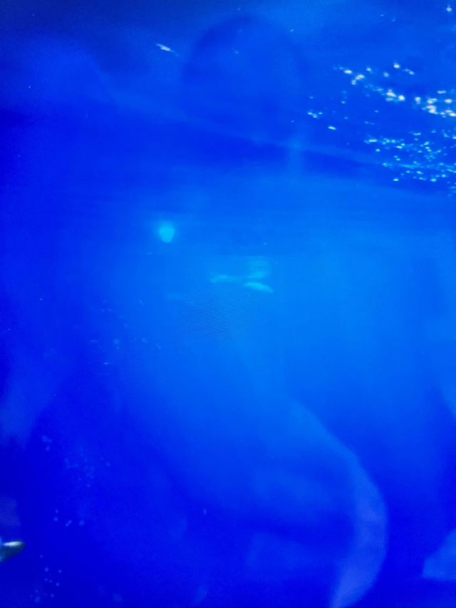 MacBook Pro 16” (2019) i9 / 16GB Plata