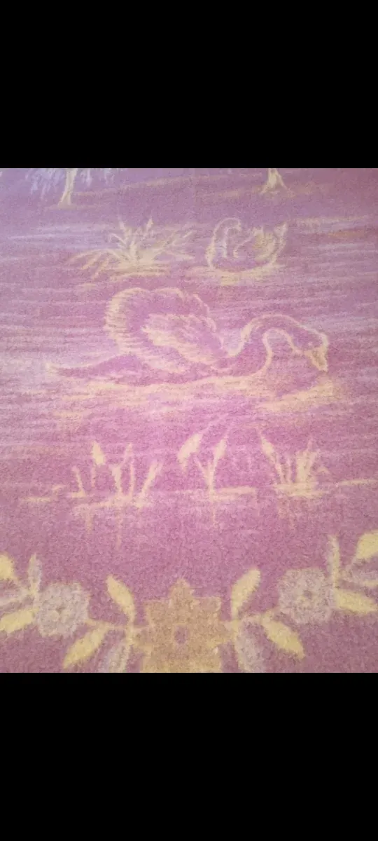 REGALO COLCHA POR LA COMPRA DE ESTA MANTA