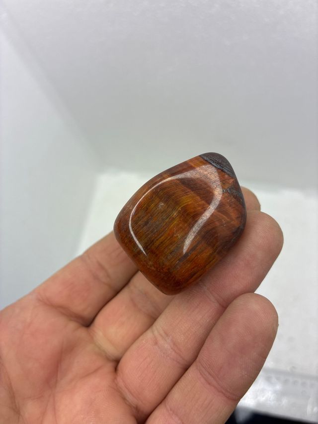 Ojo de Buey Naturale