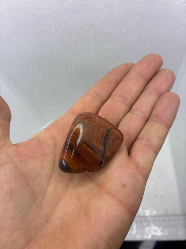 Ojo de Buey Naturale