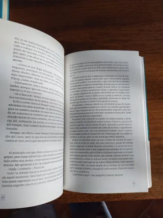 La catedral (Spanish Edition)