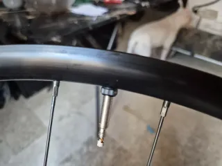 Ruote MTB Tubeless