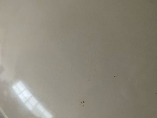 Plafoniera Novalux Bianco