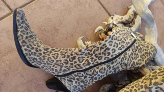 Stivali camoscio leopardati