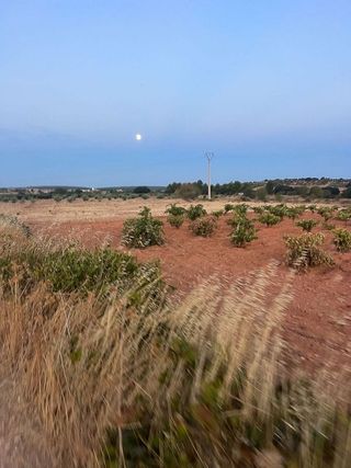 Piso en alquiler en Ciudad Universitaria en Madrid