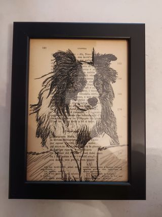 Quadro Border Collie su carta