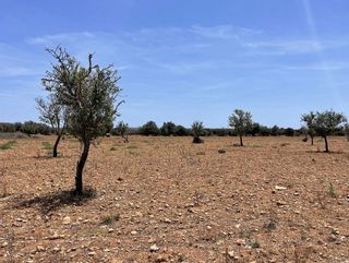 Terreno en venta en Campos