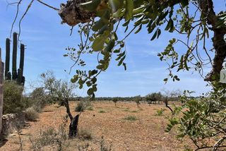 Terreno en venta en Campos